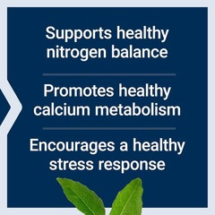 Gluten-Free L-Lysine 620 mg – Essential Amino Acid for Healthy Living, 100 Count