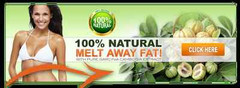 Superfoods Blend – GARCINIA CAMBOGIA Extract – Manage Body 1 Bottle 60 Capsules