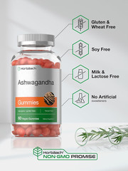 Ashwagandha Gummies for Women and Men 60 Count Supplement Tropical Fruit Flavor