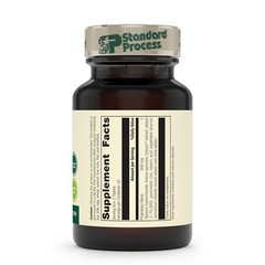 Standard Process – Zypan – 90 Tablets