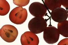 antioxidant rich supplement – GRAPE SEED EXTRACT 150mg – increase bone density 3