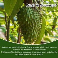 Soursop Graviola Capsules Leaf & Fruit Extract 120 Capsules High Potency 1000mg