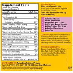 Nature Made Multivitamin For Women, Womens Gummy 70 Count (Pack of 1)