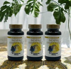 3 NOPAL IMPERIAL WEIGHT LOSS IMMUNE SUPPORT IMPROVE DIGESTION ALOE VERA PILLS