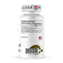OLIVE LEAF EXTRACT – Immune Defense – Cardiovascular Health – 60 Cap