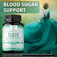 Blood Sugar 240pcs- with Gymnema Sylvestre – Blood Sugar Balance and Control