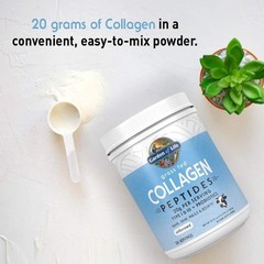 Garden of Life Grass Fed Collagen – Peptides Unflavored 560 grams Each (3 Packs)