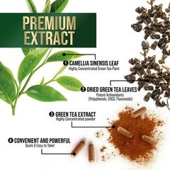 Green Tea Fat Burner 1000mg EGCG Extract Natural Weight Loss Supplement Capsules