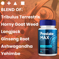 Prostate Max Formula Supplement Natural Vitamin for Health & Wellness 300 Caps