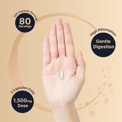 Magnesium Malate 1,500mg Per Serving, 240 Capsules | 240 Count (Pack of 1)