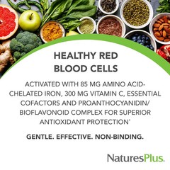 NaturesPlus Hema-Plex Iron 85 mg 60 Capsules – Pack of 2