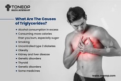 TRIGLYCERIDES REMOVER & FLUSHER – 90 CAPS – LOWER YOUR TRIGLYCERIDES & SUGAR