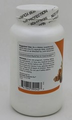 Healthy Labs CURCUMA 500mg 90 capsules