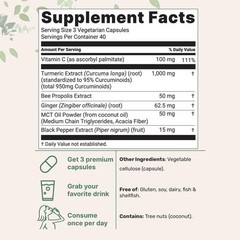 2 PACKS Pure Turmeric Curcumin Supplement 1,000mg | 95% Curcuminoids | 120Veggie