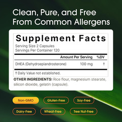 DHEA 100mg, 240 Capsules – Extra Strength Micronized Formula