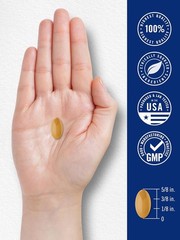 Brain Support Supplement | 60 Softgels | L-Theanine, Bacopa & B-12 | by Carlyle