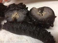 Natural Dried Wild Sea Cucumber,岩刺参,Holothuria Mammata,Grade AAA,1LB