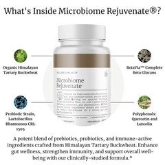 BIG BOLD HEALTH Microbiome Rejuvenate Prebiotic + Probiotic Supplement for Gu…