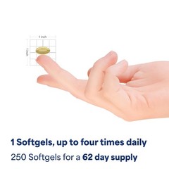 Odorless Garlic Softgels 250 Count – Premium Rapid Release Dietary Supplement