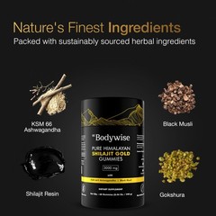 Be Bodywise Pure Himalayan Shilajit Gummies Gold I 60 Gummy