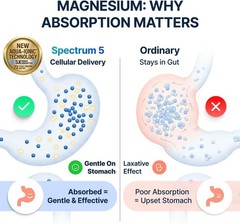 Spectrum 5 Magnesium | 5-in-1 Complex | + 72 Trace Minerals for Enhanced Absorpt