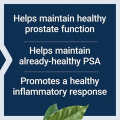 Comprehensive Prostate Health Support – 60 Softgels with Nettle & Boswellia