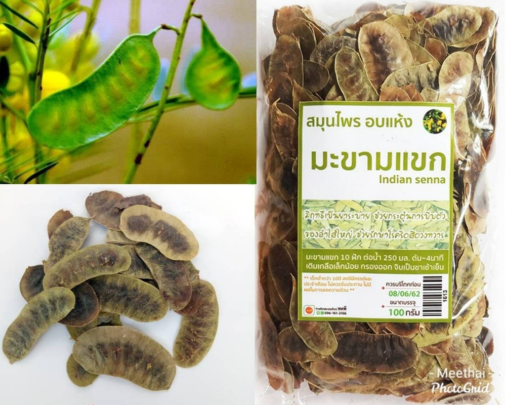 100 G. Indian Senna Thai Herbs Hemorrhoid Laxative Stimulates Dry to Boil Sour
