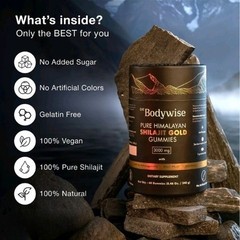 Be Bodywise Pure Himalayan Shilajit Gummies Gold I Lab Tested I No Added Sugar