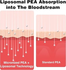 Micronized 1000mg Palmitoylethanolamide + 100mg Luteolin – Max Absorption