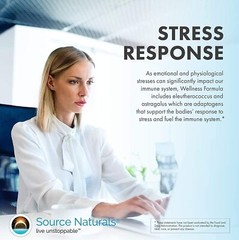 Source Naturals Wellness Formula 60 Caps