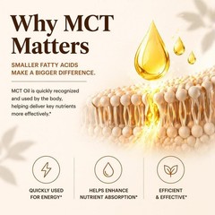 Metabolae Ceylon Cinnamon Capsules With MCT Oil, Non-GMO, Gluten Free, 300pcs