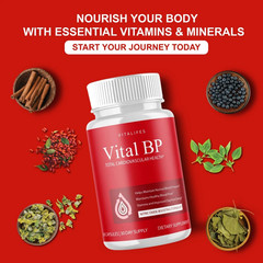(1 Pack) Vital BP Advanced Blood Support Vitamin Formula VitalBP (60 Capsules)