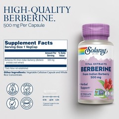 Berberine Extract 500mg – 60 VegCaps | Metabolism Support, AMPK Activator, Non-G