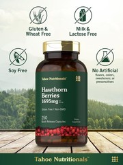 Hawthorn Berry 1695mg 250Caps Heart Health/Blood Pressure Crataegus oxyacantha
