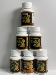 POWER-PLUS GINSENG Capsules Supplement 6 bottles