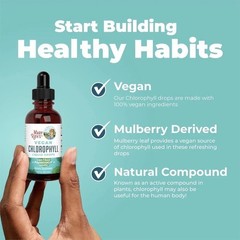 NEW Mary Ruth’s VEGAN Chlorophyll Liquid Drops Peppermint Flavored 2Fl Oz (60ml)