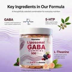 (2 Pack) GABA Gummies with L-Theanine & 5-HTP – Melatonin Free – Berry Flavor