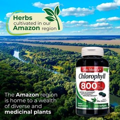 Lab – Chlorophyll – pure – 800 mg per serving- 200 Softgels – chlorophyll capsul