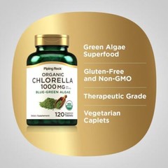 Chlorella Blue Green Algae 1000 Mg Superfood Broken Cell Wall Immune, 120 Tabs