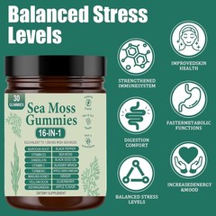 1 Sea 16 Organic Moss Gummy | Irishmoss Extract 6000Mg | Apple Green Flavor in