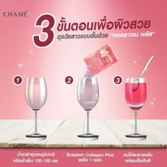6X Chame Hydrolyzed Collagen Tripeptide Plus 10000mg Brightening Skin