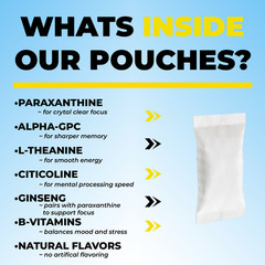 Plopii Focus Nootropic Pouches, 120mg Paraxanthine, Nicotine-Free, (3-Pack)