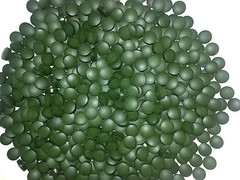 Thor’s Hammer (1000 tablets pure chlorella / spirulina mix, cold-pressed, 250g)