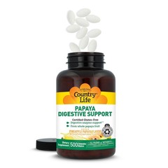 Digestive Support Chewable Wafers – 500 Count, Natural Papaya & Pineapple Flavor