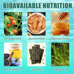 1 Sea 16 Organic Moss Gummy | Irishmoss Extract 6000Mg | Apple Green Flavor in