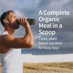 Meal Replacement Shakes, Raw Organic, Chocolate Protein Powder 28 Servings