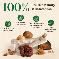 Fidus 16 Mushroom Supplement Powder with 17,300mg, 90 Day Servings Mushroom Coff