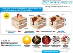 3x Pynocare Whiten Skin, Reduce Dark Spots, Anti-Melasma UV protect 20 capsules