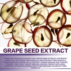 Grape Seed Extract – 95% Polyphenols Antioxidant, Heart Health Immune Support