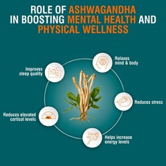 Himalaya Ashwagandha 120 Tablets Stress Relief Energy Wellness Support